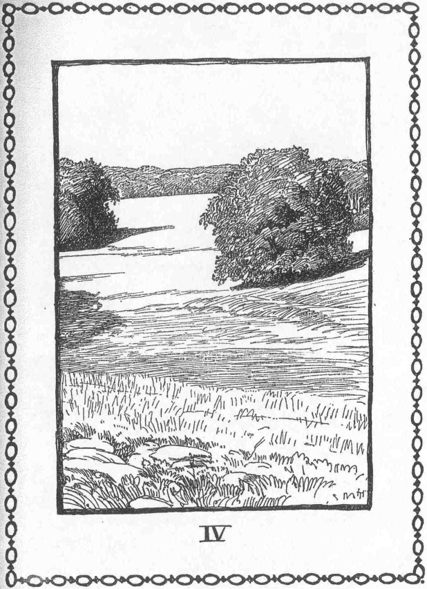 IV