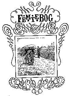 FEMTE BOG