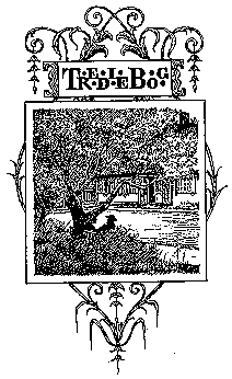 TREDIE BOG